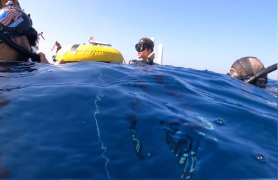 خلال المشاركة في الغوص