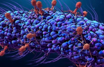 ارتفاع باصابات الكوليرا في لبنان بعدما وصلت اليه من سوريا