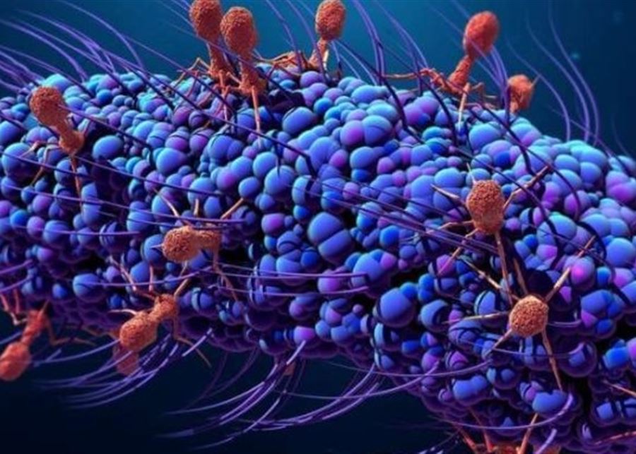 ارتفاع باصابات الكوليرا في لبنان بعدما وصلت اليه من سوريا